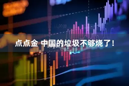 点点金 中国的垃圾不够烧了！