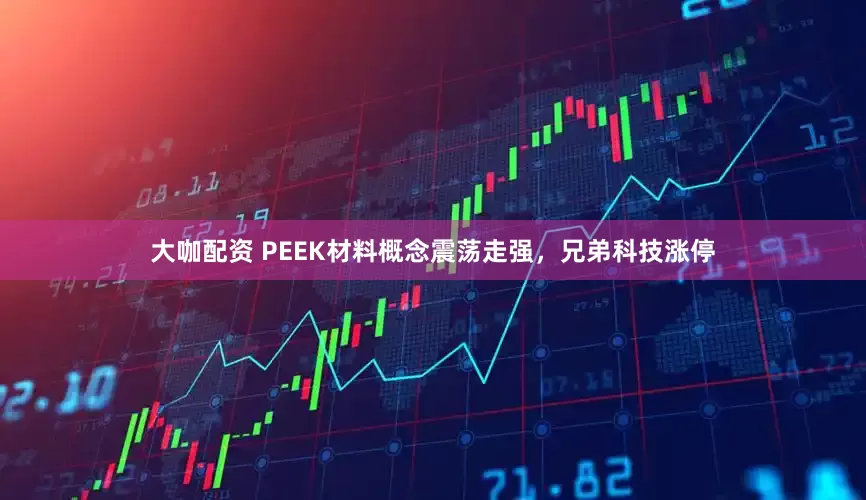 大咖配资 PEEK材料概念震荡走强，兄弟科技涨停