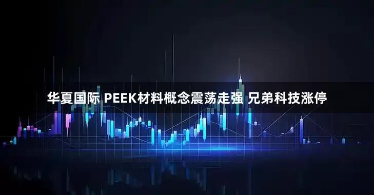 华夏国际 PEEK材料概念震荡走强 兄弟科技涨停